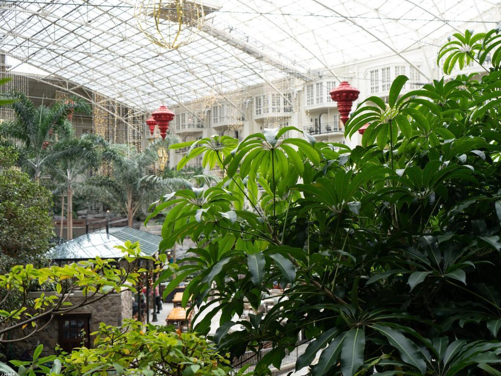 ការណែនាំស៊ីសងងាយ