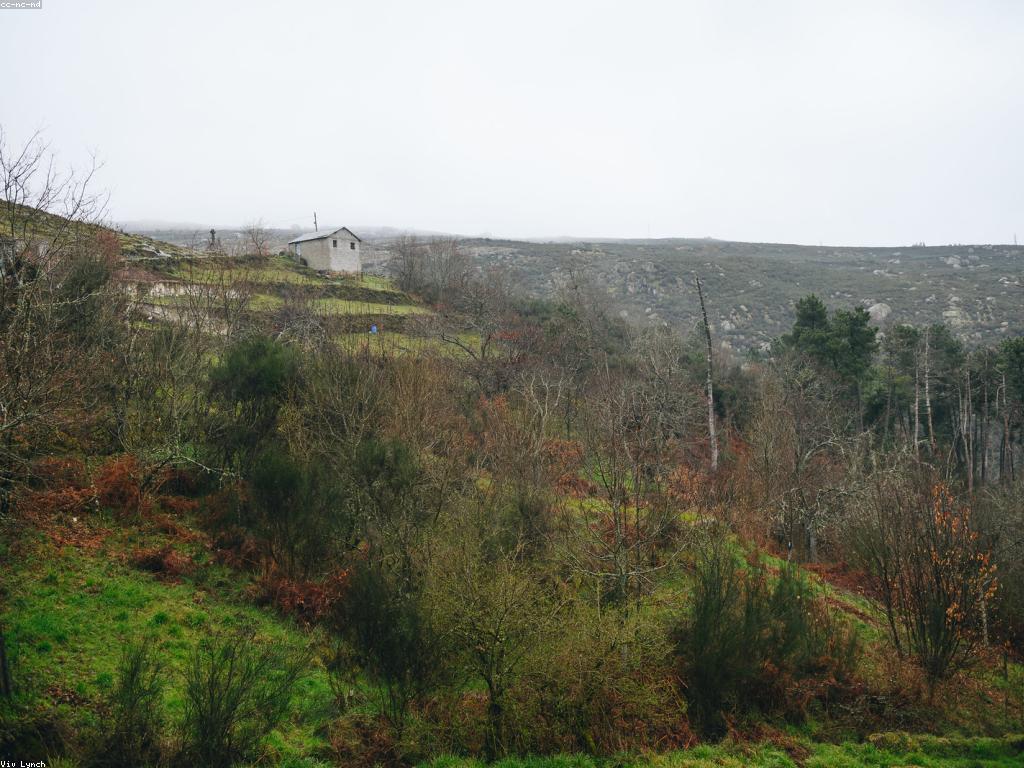 ការណែនាំស៊ីសងងាយ: វប្បធម៌ខ្មែរ និងការសិក្សាដោយសុវត្ថិភាព